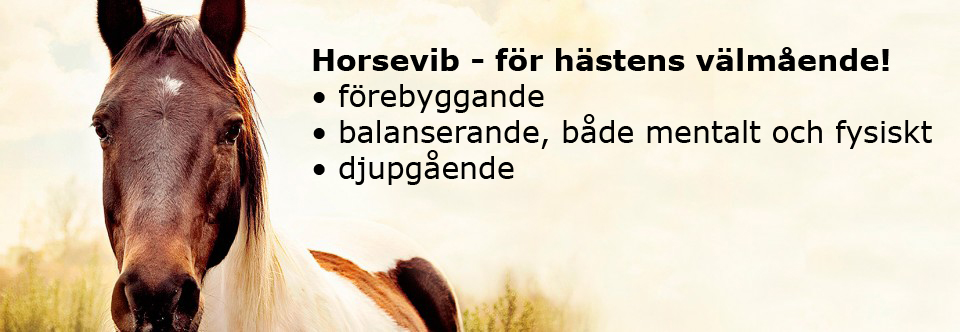 horsevibbild-copy